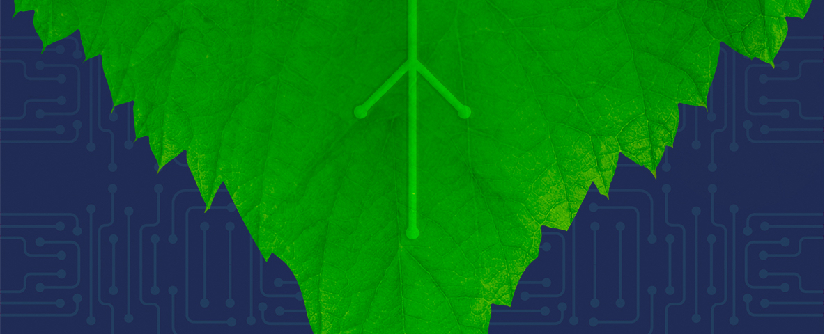 Lloyd's climate footer